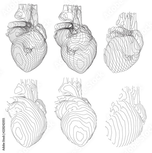 et of vector outlines in the form of a hear