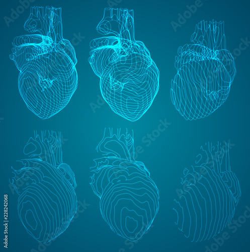 et of vector outlines in the form of a hear