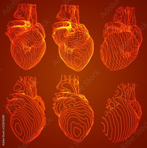 et of vector outlines in the form of a hear
