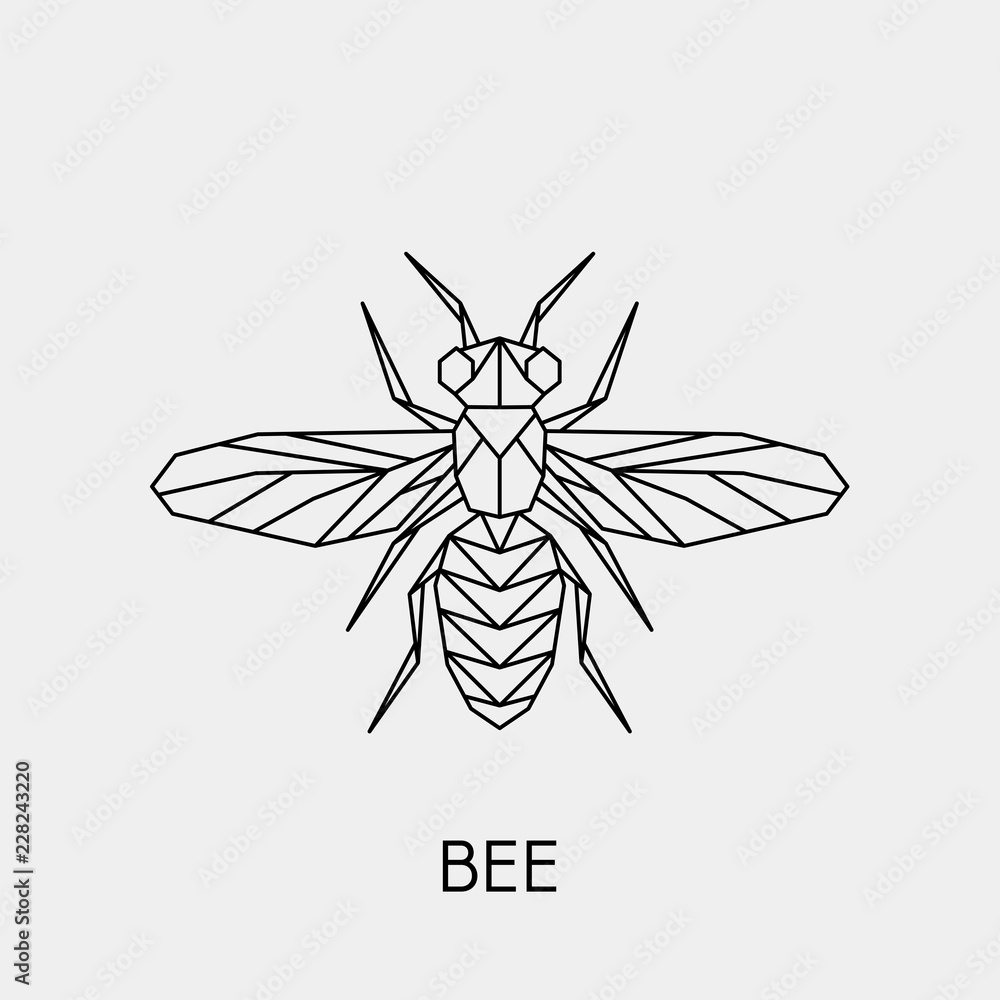 Geometric bee. Polygonal linear abstract insect. Vector illustration