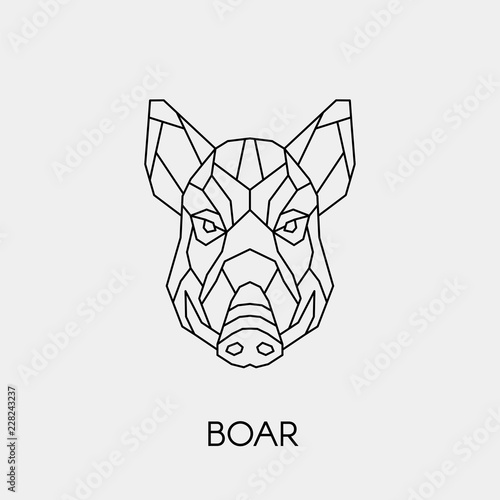 Geometric boar. Polygonal linear wild pig head. Vector illustration.