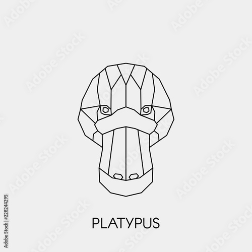 Geometric platypus. Polygonal linear australian animal head. Vector illustration.