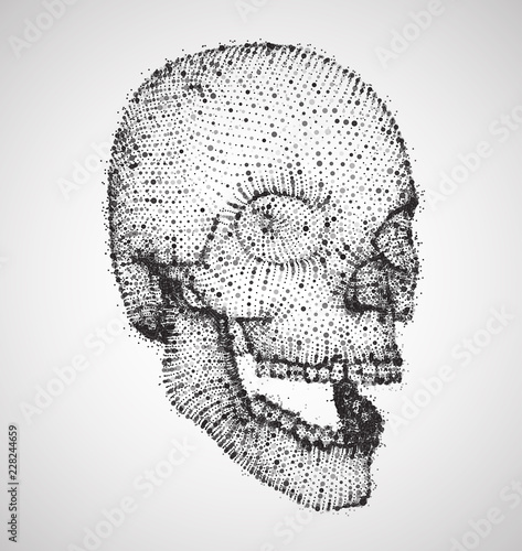 vector human skull. volume of points and polygons. the concept of death and horror. holiday of the day of the dead