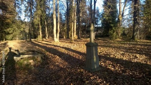 lasy, jesień,bieszczady,góry,bory,