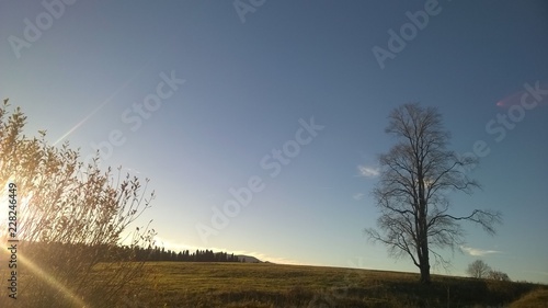 lasy, jesień,bieszczady,góry,bory,