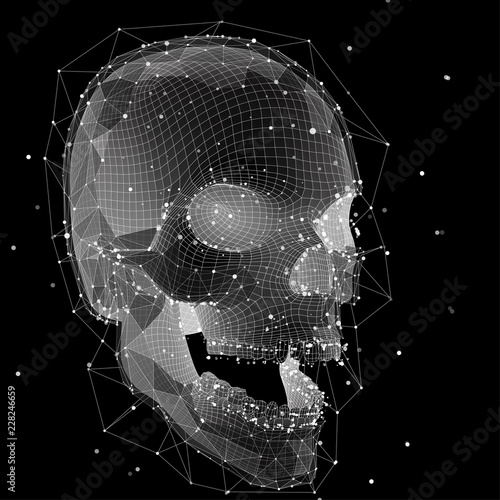 3d vector human skull of all segments explodes.