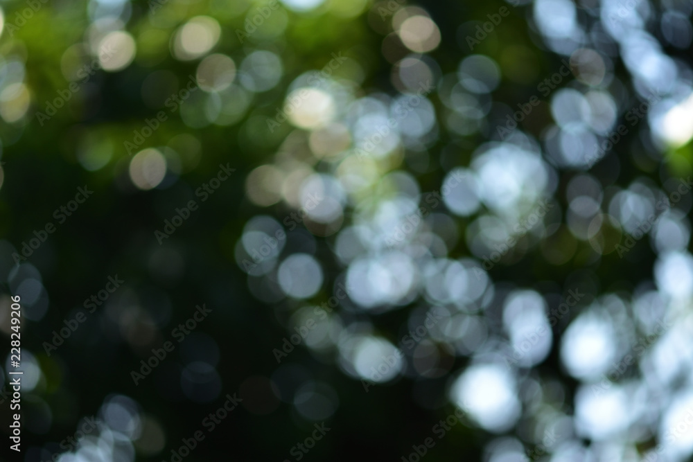 Obraz premium Background and bokeh. The images have beautiful lighting and circular blurred images suitable for the background. To shoot under a tree shade. Blurry images appear green and white reflecting a beautif