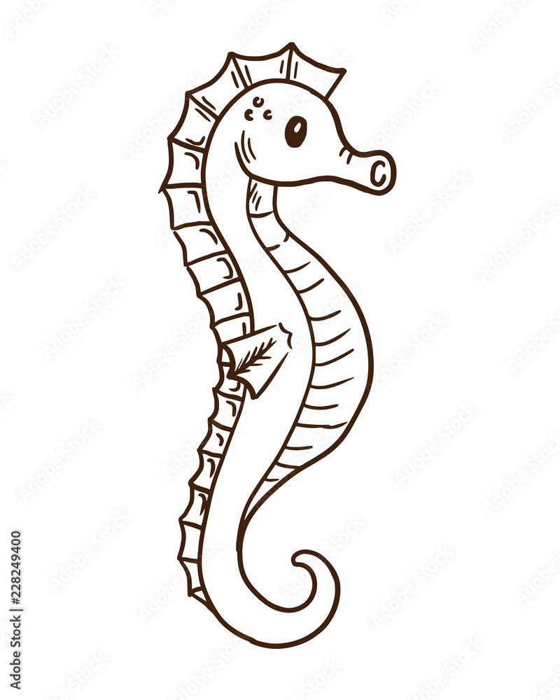 Fototapeta premium Cute cartoon animals concept. Hand drawn sea horse.
