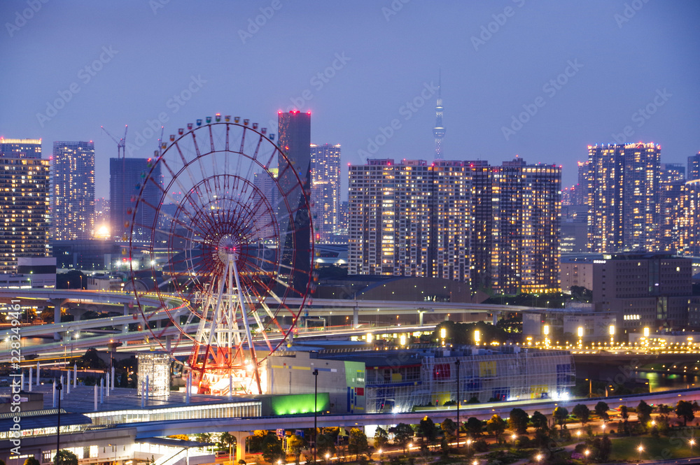 Fototapeta premium お台場と東京スカイツリー