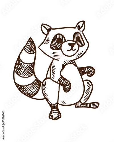 Cute cartoon animals concept. Hand drawn striped raccoon.
