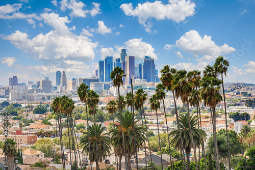 Beautiful cloudy day of Los Angeles downtown skyline and palm trees in foreground