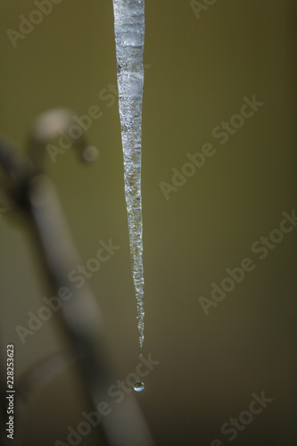 schmelzender Eiszapfen auf grünem Grund photo