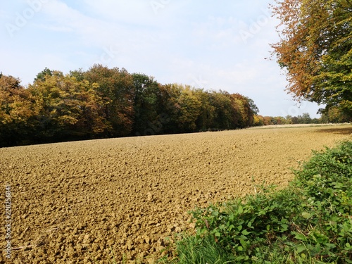 abgeerntetes Feld und verfärbte Wälder im Herbst photo