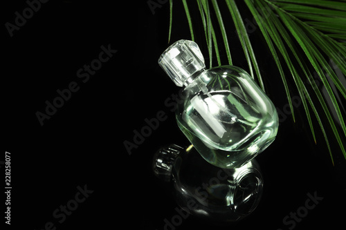 Bottle of perfume with tropical leaf on dark background