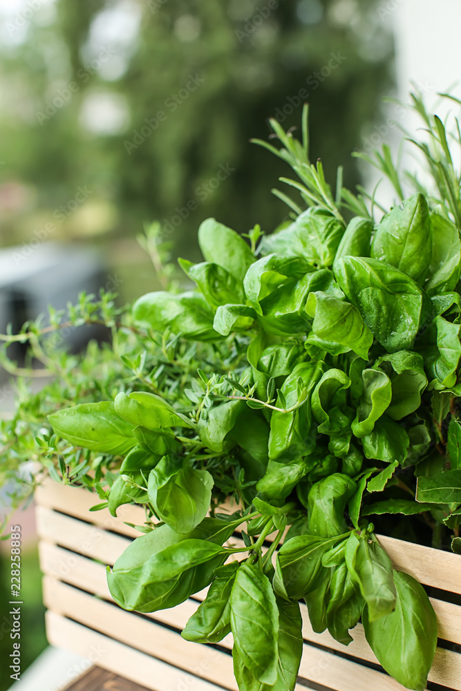 Obraz premium Wooden crate with fresh aromatic herbs outdoors
