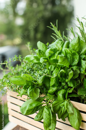 Wooden crate with fresh aromatic herbs outdoors