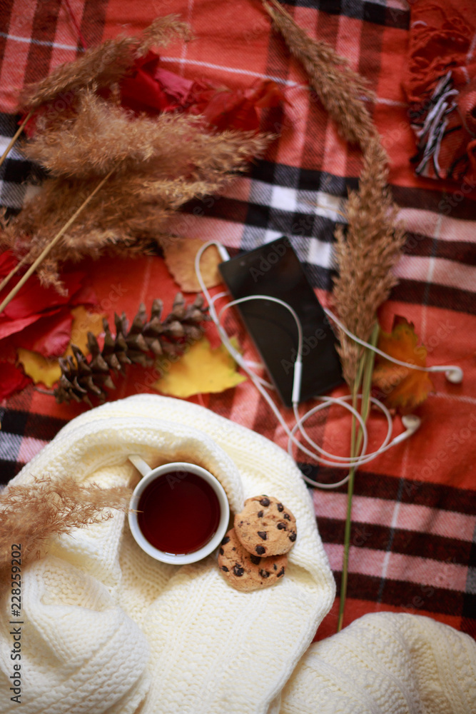 Autumn Fletley. A cup of hot tea, an open book, a yellow leaf, a smartphone with headphones on a checkered orange rug. Vertical orientation Autumn Fletley. A cup of hot tea, an open book, a yellow leaf, a smartphone with headphones on a checkered orange rug. Vertical orientation