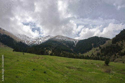 Beautiful landscape of the green mountain hills blue cloudy sky of Kyrgyzstan.