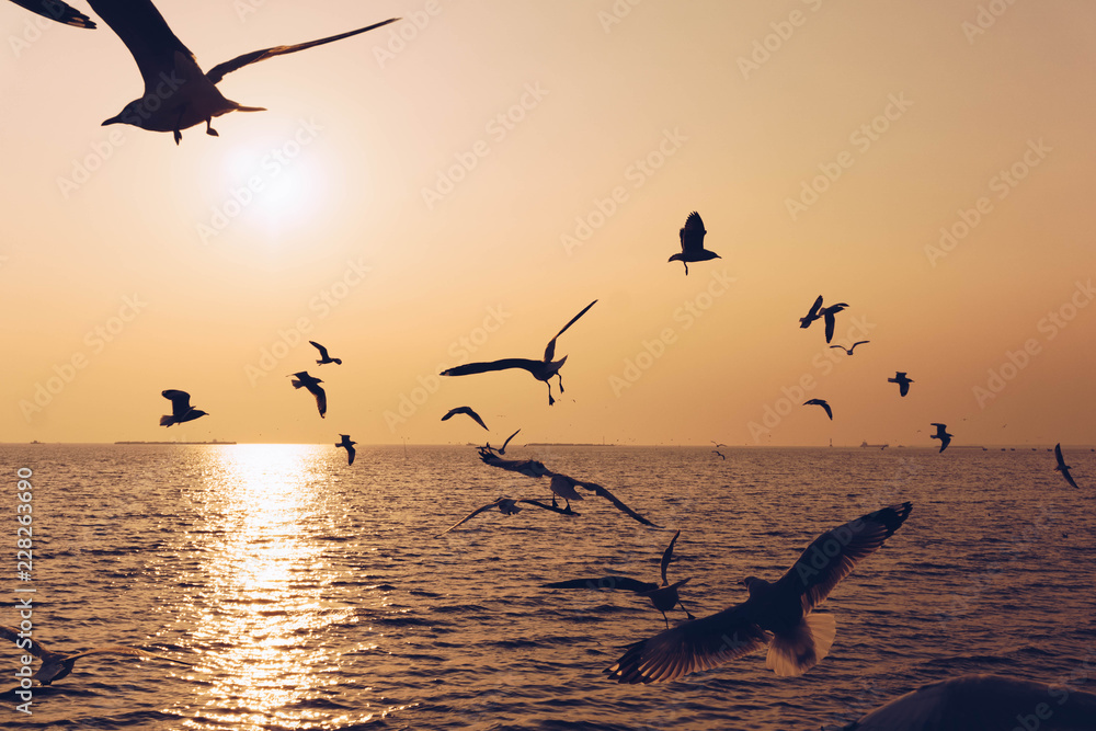 Silhouette  seagull birds flying over the blue sea water with yellow sun light shining in the evening background.