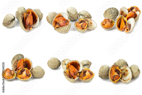 Wallpaper Mural fresh cockles seafood isolate on white background
 Torontodigital.ca