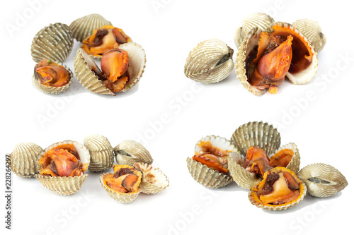 Wallpaper Mural fresh cockles seafood isolate on white background
 Torontodigital.ca