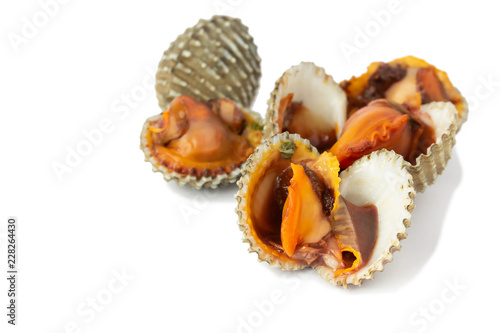 fresh cockles seafood isolate on white background 