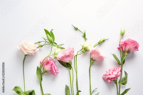 Beautiful Eustoma flowers on white background
