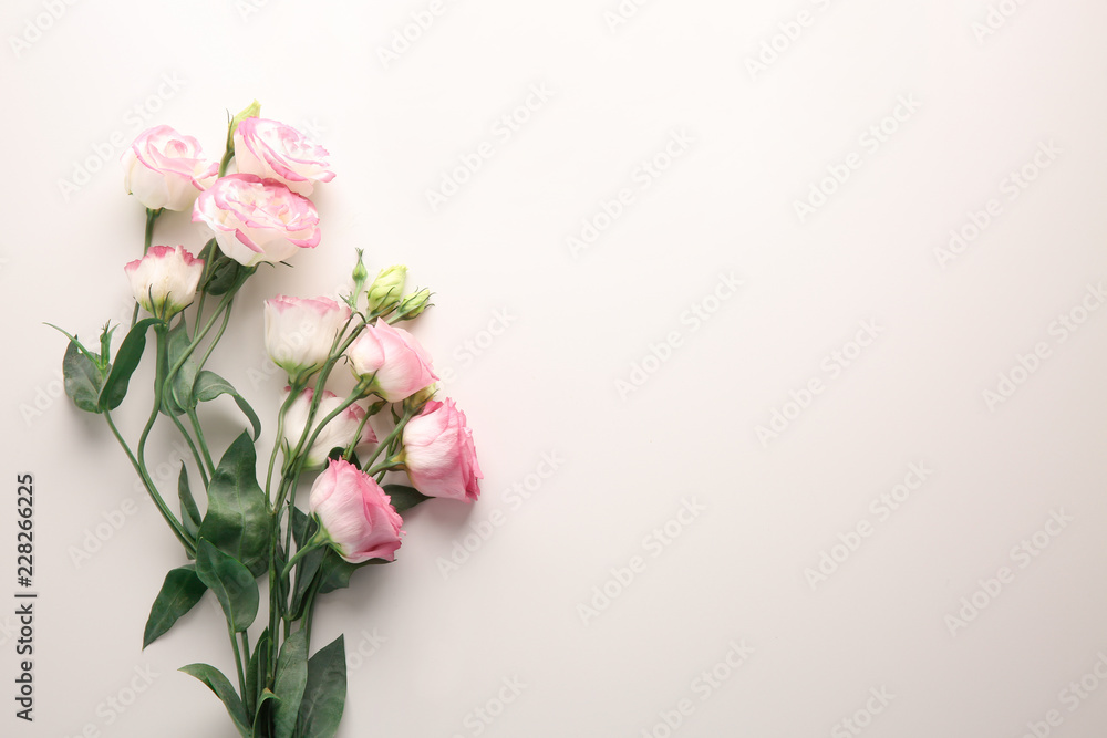 Beautiful flowers on white background