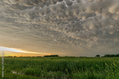 Mammatus clouds at the back of a severe thunderstorm in Nebraska photo