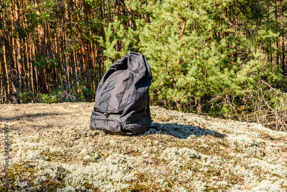 Backpack on a ground in a coniferous forest Backpack on a ground in a coniferous forest