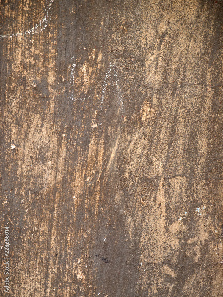 Fototapeta premium OLYMPUS DIGITAL CAMERA