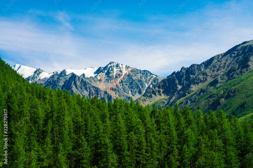 Snowy mountain top behind wooded hill under blue clear sky. Rocky ridge above coniferous forest. Atmospheric minimalistic landscape of majestic nature. Snowy mountain top behind wooded hill under blue clear sky. Rocky ridge above coniferous forest. Atmospheric minimalistic landscape of majestic nature.