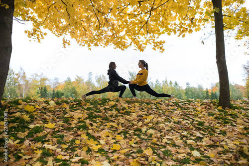 Autumn photo of sporty women stretching in forest at morning against background of trees. © KONSTANTIN SHISHKIN