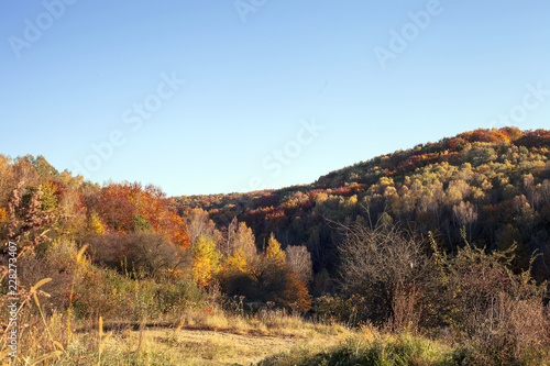 Landscape with autumn forest and road at sunset