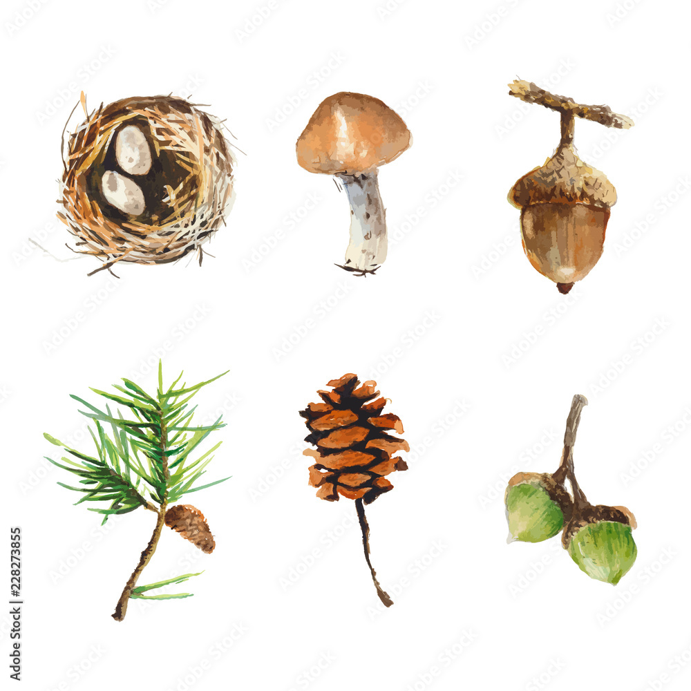Autumn nature elements in a watercolor style. Leaves, pine cones, bird's nest painted in watercolor. Set of vector in autumn winter style. Autumn nature elements in a watercolor style. Leaves, pine cones, bird's nest painted in watercolor. Set of vector in autumn winter style.