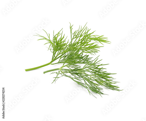 Fresh aromatic dill on white background