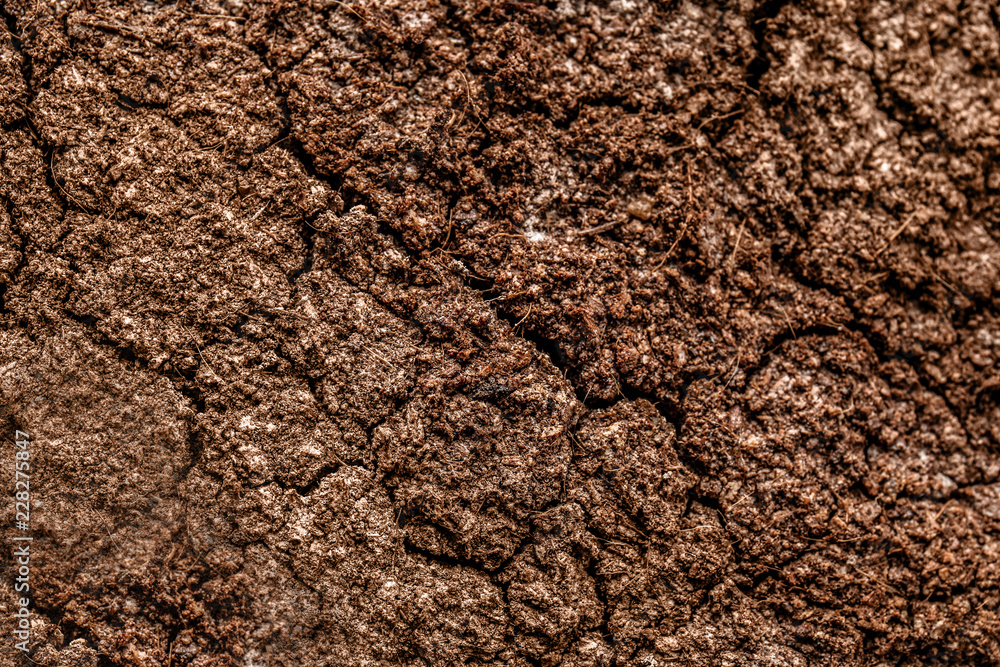 Soil texture, closeup Soil texture, closeup
