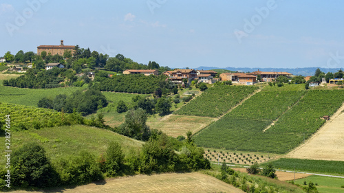 Road to Govone and San Martino Alfieri  Asti  in Monferrato