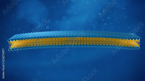 Liposome structure cell 3D rendering photo