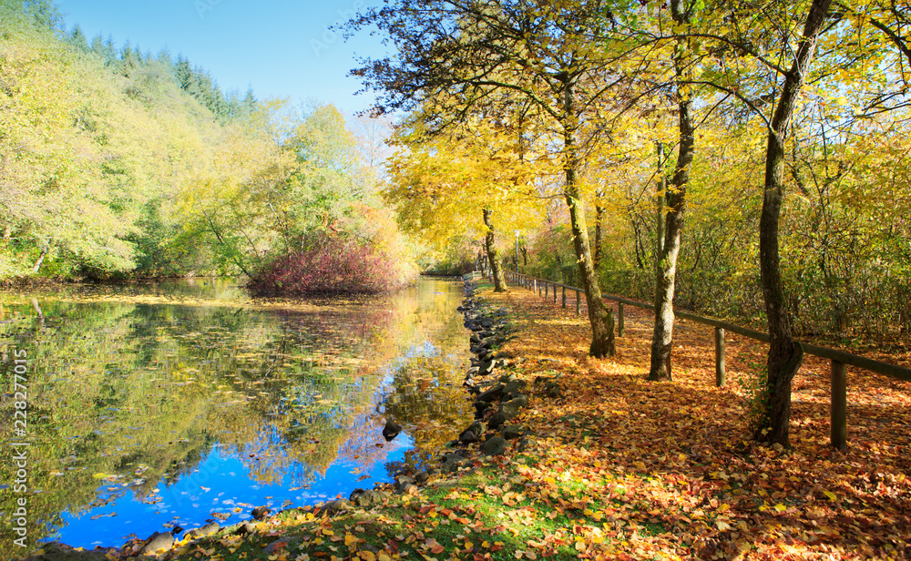 Colorful autumn in the city park with lake. Autumn Landscape.