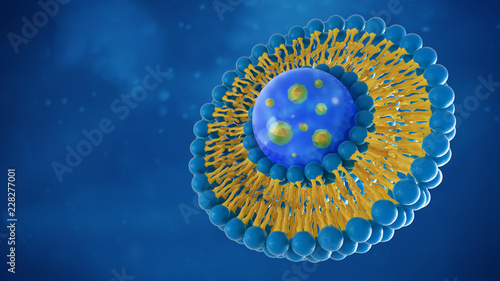 Liposome structure cell 3D rendering photo