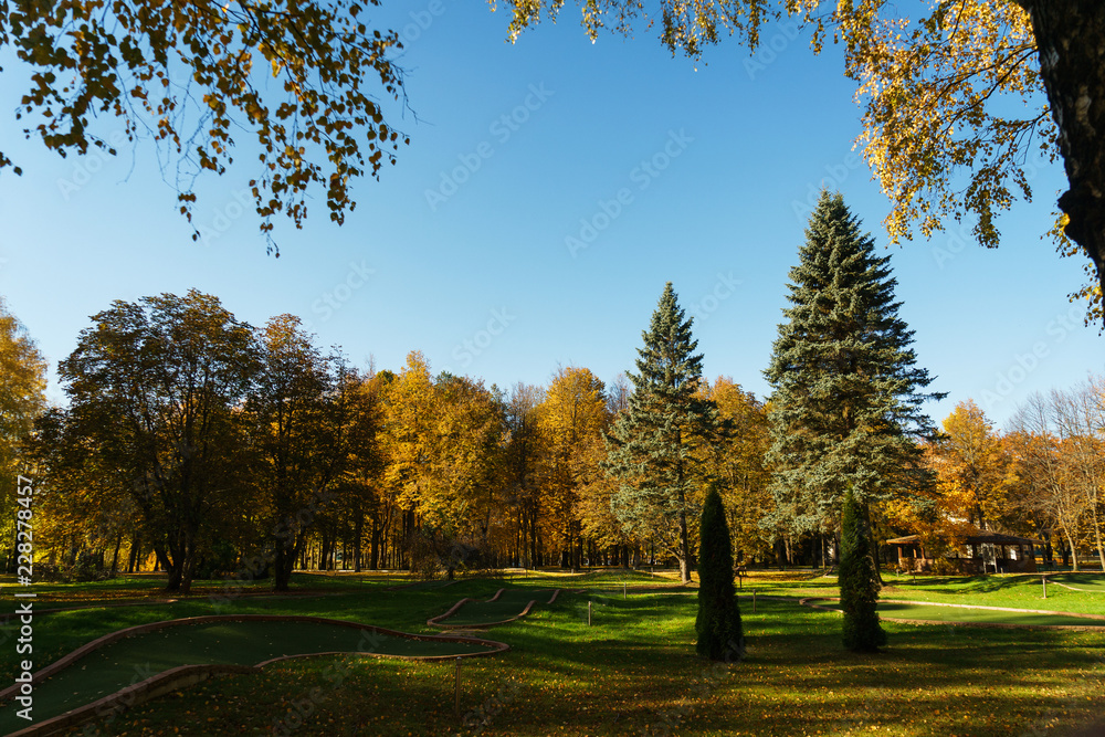 Autumn landscape. Warm autumn day in a bright color park. Orange foliage and trees in the forest. 