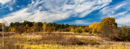 Autumn landscape. Panorama of the autumn forest behind the field.