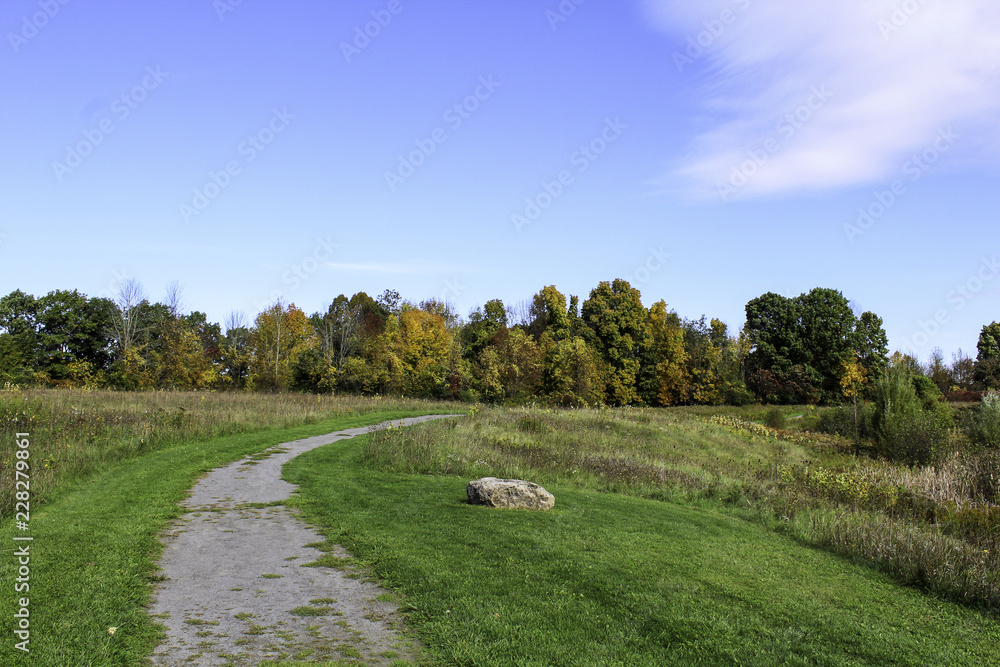 Autumn foliage along the hiking trails. Rochester, New York