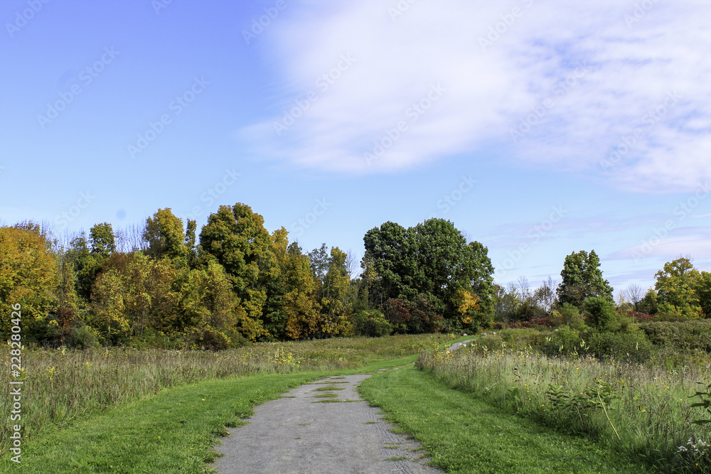 Naklejka premium Autumn foliage along the hiking trails. Rochester, New York