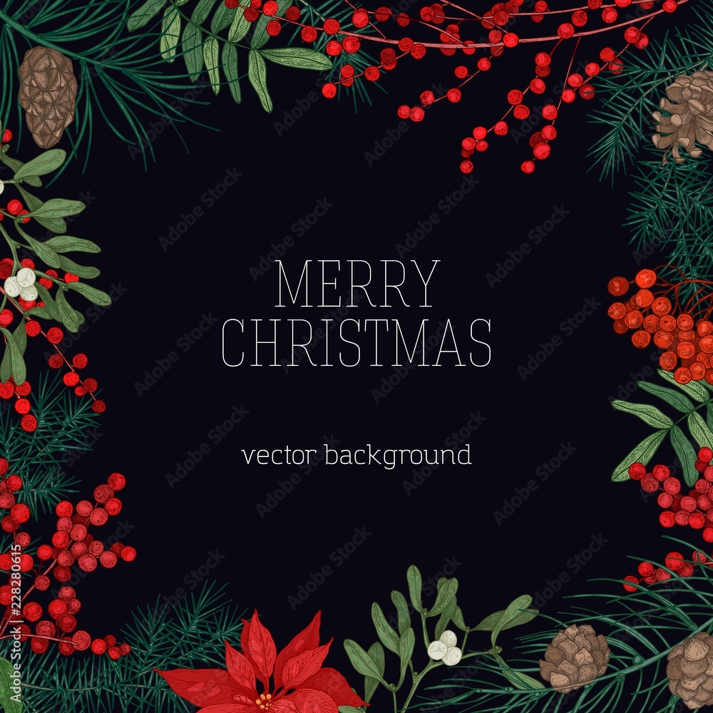 Φωτογραφία Square frame or border made of branches and cones of coniferous trees, poinsettia leaves, holly and mistletoe berries hand drawn on black background and Merry Christmas wish