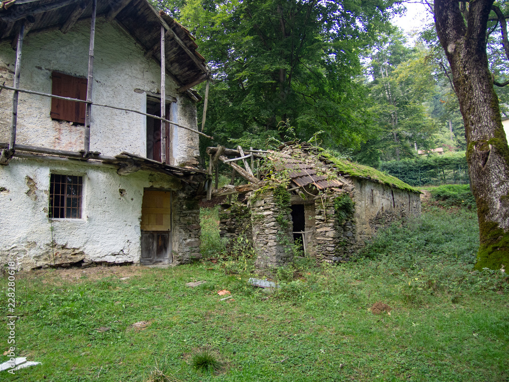 abandoned and ruined farmhouse in the Mottarone woods in Piedmont,Italy abandoned and ruined farmhouse in the Mottarone woods in Piedmont,Italy
