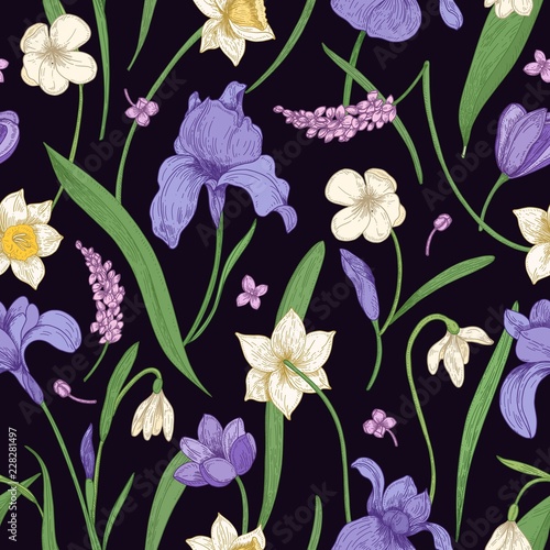Natural seamless pattern with gorgeous tender wild and garden blooming flowers and leaves on black background. Hand drawn floral vector illustration in vintage style for backdrop, fabric print.