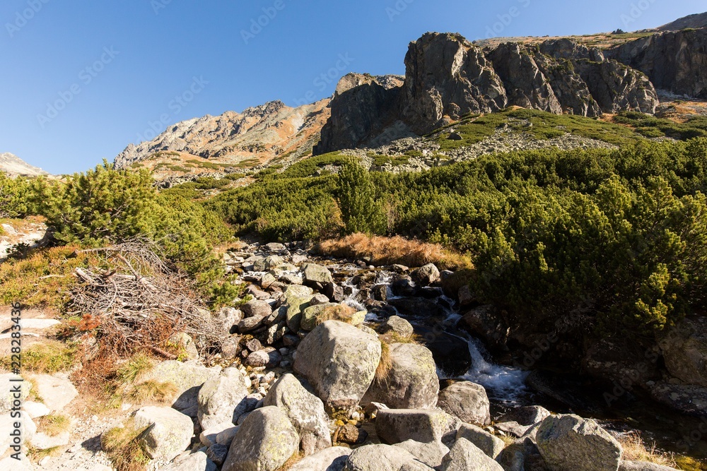 Flowing mountain river in High Tatras landscape Flowing mountain river in High Tatras landscape