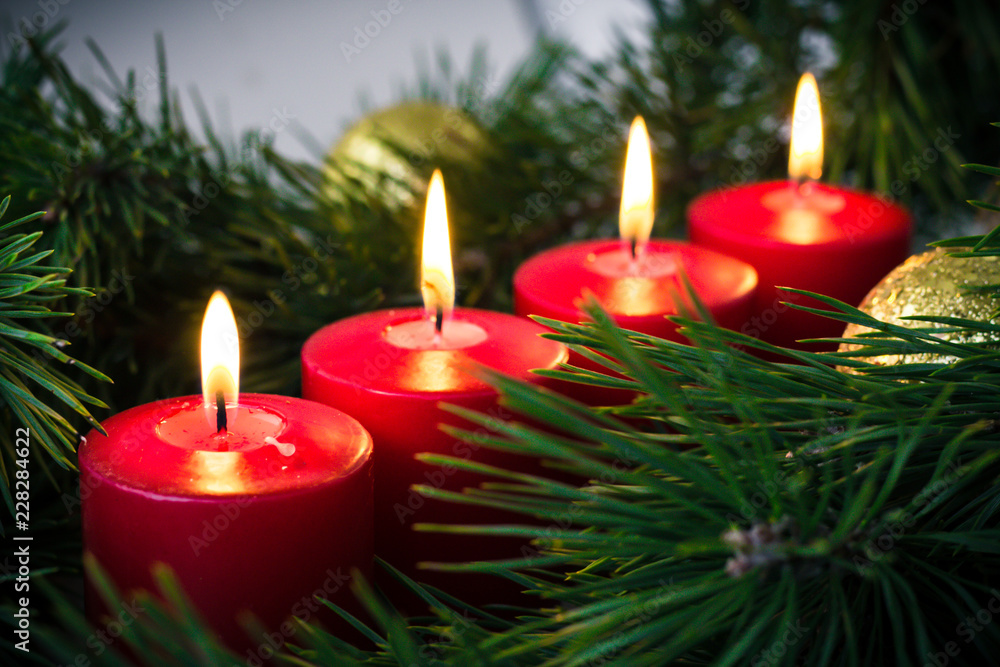 four red lit advent candles surrounded by green fir branches four red lit advent candles surrounded by green fir branches